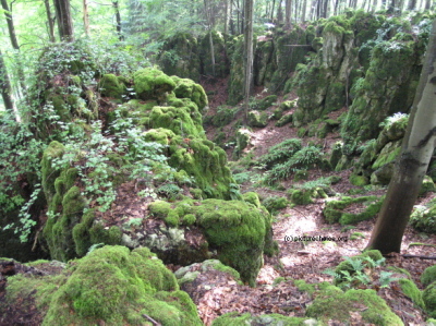 Eibgrat bei Betzenstein Fr&auml;nkische Schweiz Deutschland