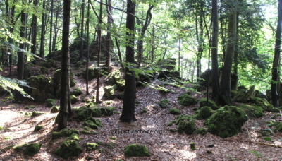 Eibgrat Franconian Switzerland Germany