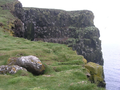 Latrabjarg Westfjords Vestfir&eth;ir Iceland