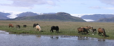 Flaj&ouml;kull Ost Island