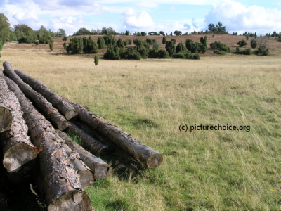 L&uuml;neburger Heide Niedersachsen Deutschland