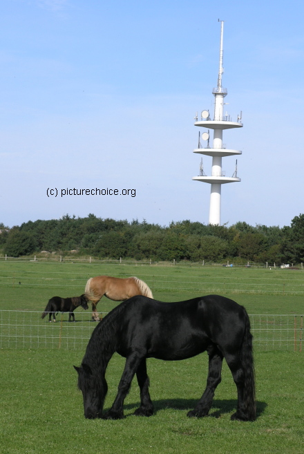 Wyk on F&ouml;hr island Schleswig-Holstein Germany